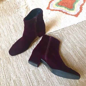 Carel booties burgundy velvet 38